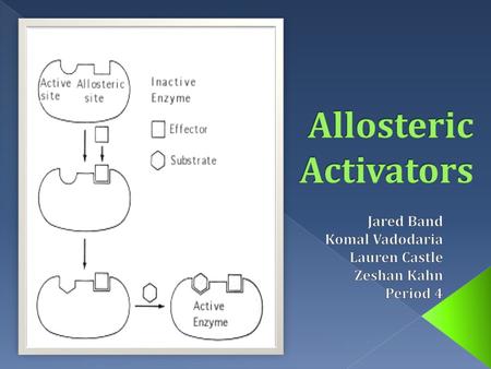 Allosteric Activators