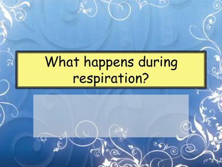 What happens during respiration?