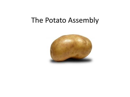 The Potato Assembly.