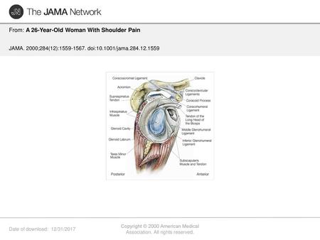 Copyright © 2000 American Medical Association. All rights reserved.