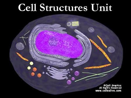 Cell Structures Unit.