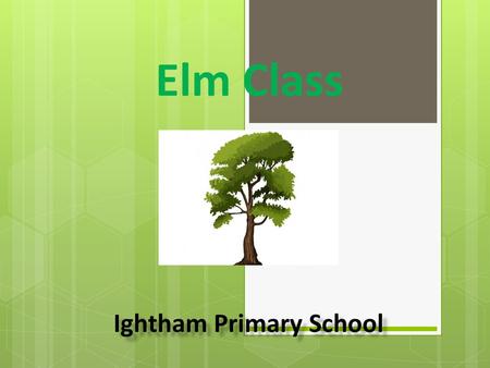 Ightham Primary School