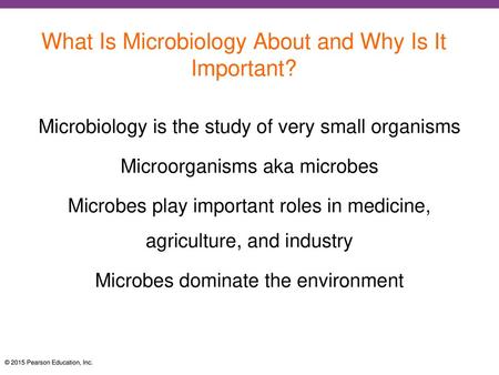 What Is Microbiology About and Why Is It Important?