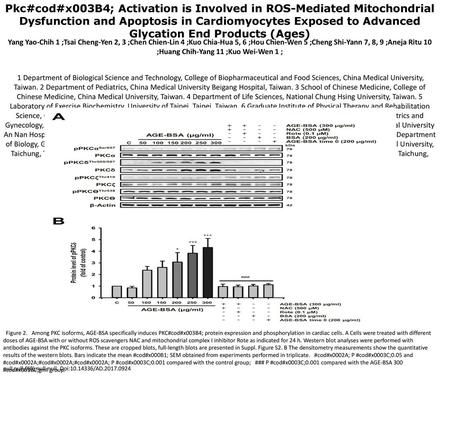 Pkc#cod#x003B4; Activation is Involved in ROS-Mediated Mitochondrial Dysfunction and Apoptosis in Cardiomyocytes Exposed to Advanced Glycation End Products.