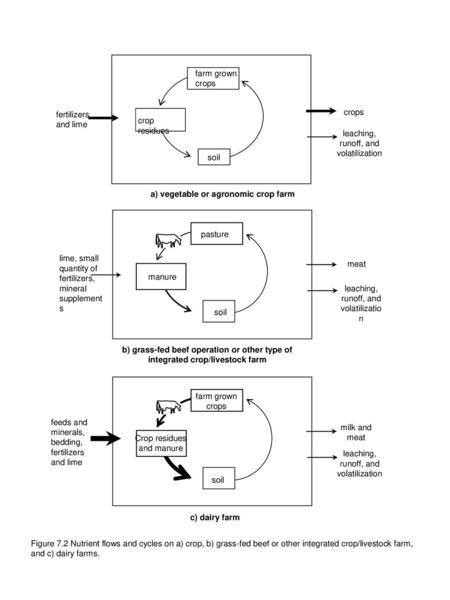 leaching, runoff, and volatilization