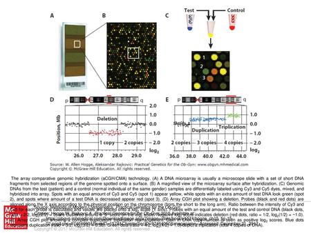 The array comparative genomic hybridization (aCGH/CMA) technology