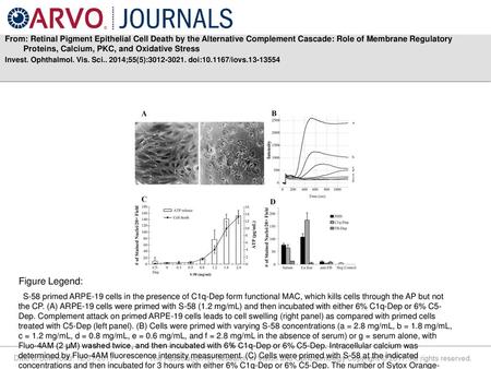 From: Retinal Pigment Epithelial Cell Death by the Alternative Complement Cascade: Role of Membrane Regulatory Proteins, Calcium, PKC, and Oxidative Stress.