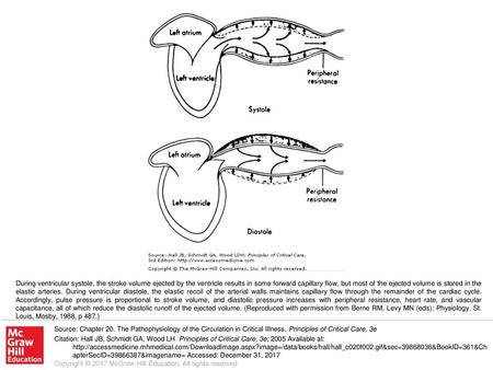 During ventricular systole, the stroke volume ejected by the ventricle results in some forward capillary flow, but most of the ejected volume is stored.