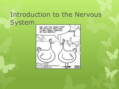 Introduction to the Nervous System