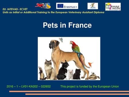 EU. IATEVAD- ECVET Units as Initial or Additional Training to the European Veterinary Assistant Diploma Pets in France 2016 – 1 – LV01-KA202 – 022652.