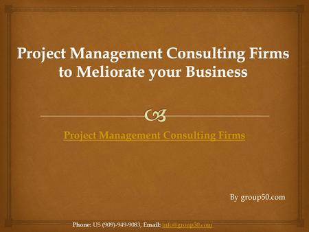 Project Management Consulting Firms to Meliorate your Business