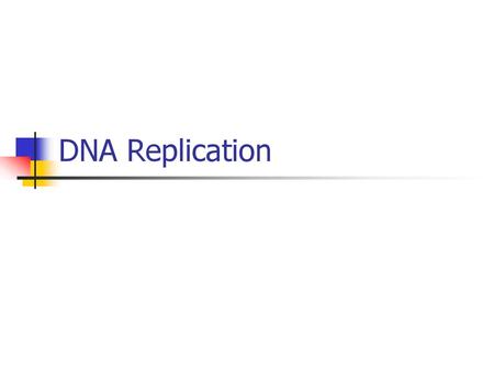 DNA Replication.