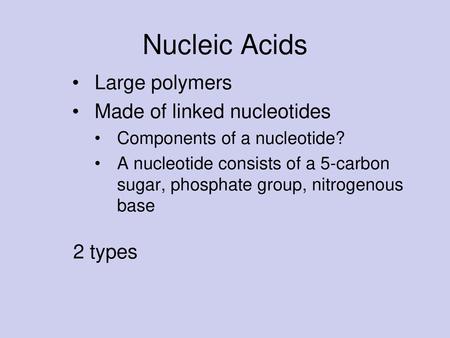 Nucleic Acids Large polymers Made of linked nucleotides 2 types