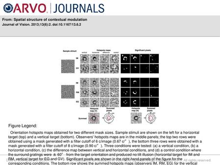 Figure Legend: From: Spatial structure of contextual modulation