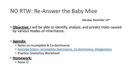 NO RTW: Re-Answer the Baby Mice