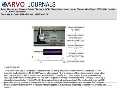 From: Nonthermal Dielectric Barrier Discharge (DBD) Plasma Suppresses Herpes Simplex Virus Type 1 (HSV-1) Replication in Corneal Epithelium Trans. Vis.