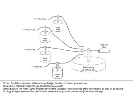 From: Social enviroment influences aphid production of alarm pheromone