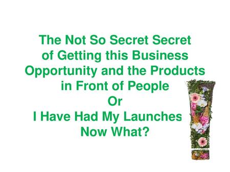 The Not So Secret Secret of Getting this Business Opportunity and the Products in Front of People Or I Have Had My Launches , Now What?