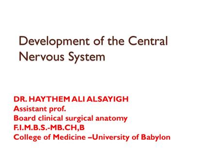 Development of the Central Nervous System