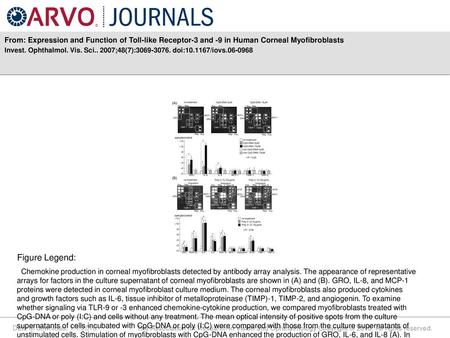 Invest. Ophthalmol. Vis. Sci ;48(7): doi: /iovs Figure Legend: