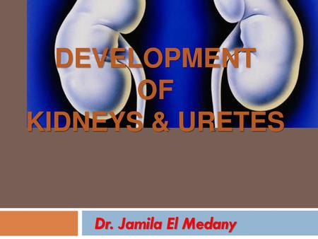 DEVELOPMENT OF KIDNEYS & URETES