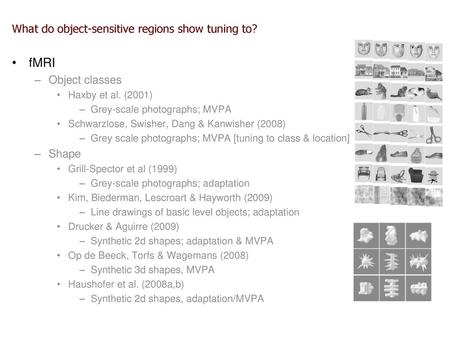 What do object-sensitive regions show tuning to?