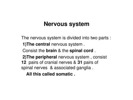 Nervous system The nervous system is divided into two parts :