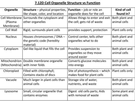 7.12D Cell Organelle Structure vs Function