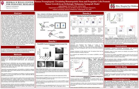 The pCHSPC Fraction Exclusively Stimulates Increased Tube Formation