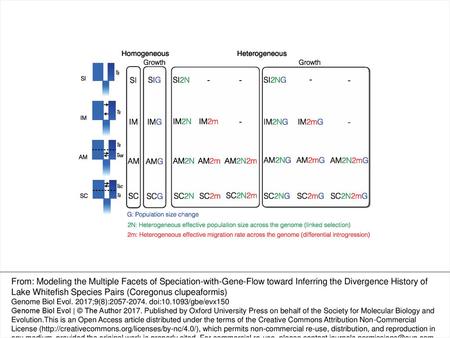 Fig. 2. —The 26 models implemented in this study