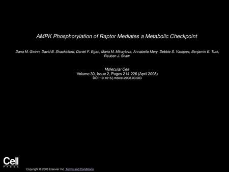 AMPK Phosphorylation of Raptor Mediates a Metabolic Checkpoint