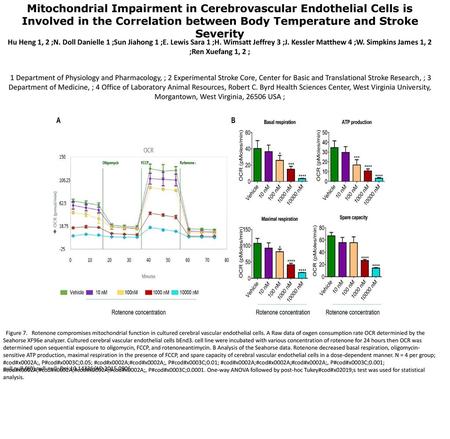 Mitochondrial Impairment in Cerebrovascular Endothelial Cells is Involved in the Correlation between Body Temperature and Stroke Severity Hu Heng 1, 2.