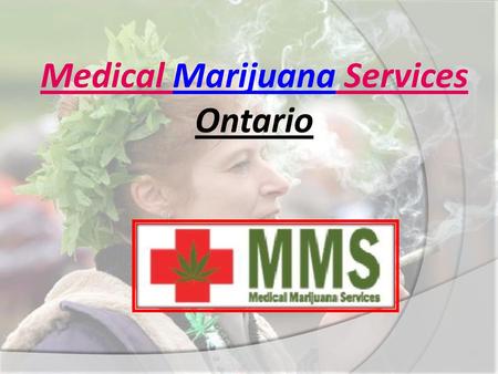 Medical Marijuana Services