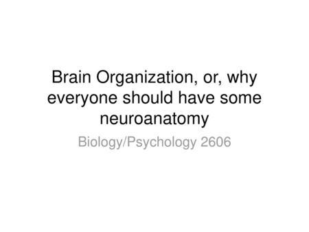 Brain Organization, or, why everyone should have some neuroanatomy