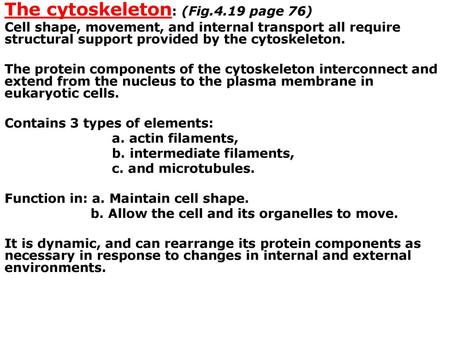 The cytoskeleton: (Fig.4.19 page 76)