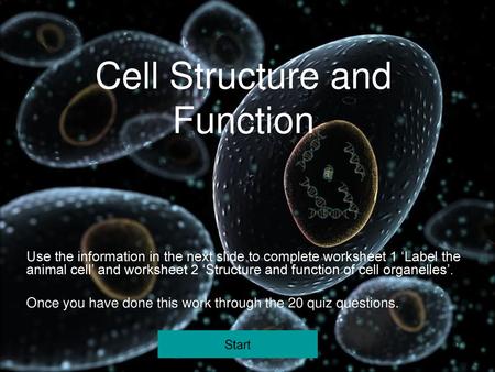 Cell Structure and Function