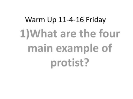 1)What are the four main example of protist?