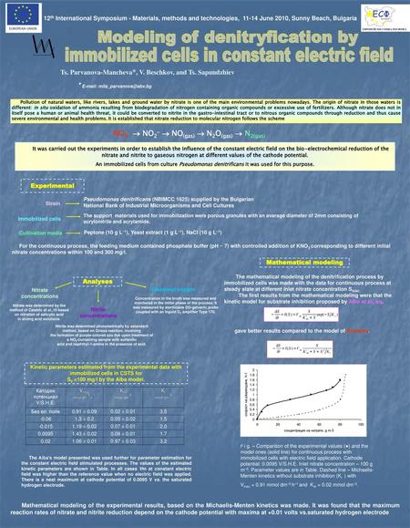 Modeling of denitryfication by