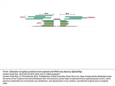 Figure 3. Schematic of the parameters to assess junctions in SpliceMap