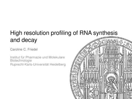 High resolution profiling of RNA synthesis and decay