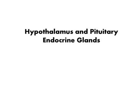 Hypothalamus and Pituitary Endocrine Glands