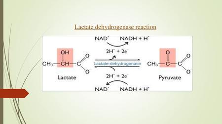 Lactate dehydrogenase reaction