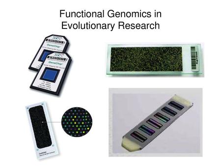 Functional Genomics in Evolutionary Research