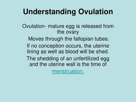 Understanding Ovulation