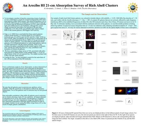 An Arecibo HI 21-cm Absorption Survey of Rich Abell Clusters