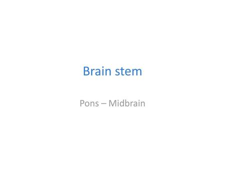 Brain stem Pons – Midbrain.