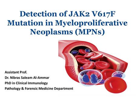 Assistant Prof. Dr. Nibras Saleam Al-Ammar PhD in Clinical Immunology