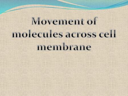 Movement of molecules across cell membrane