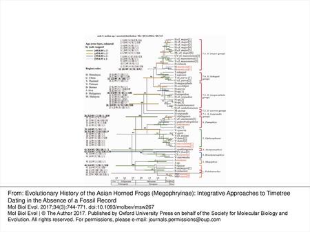 Fig. 1 Combined phylogenetic and RelTime timetree based on the topology obtained from the “best” tree (Bayesian, GTR Gamma, 54 taxa mt + nuDNA alignment,