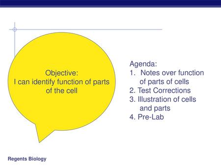 I can identify function of parts